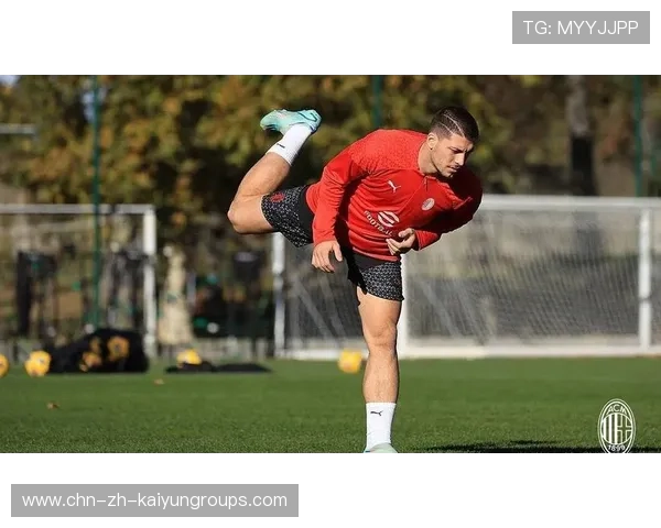 AC米兰约维奇禁区前支点扎实